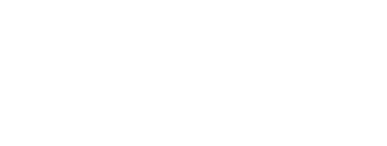 logo sanctuaire de Lourdes